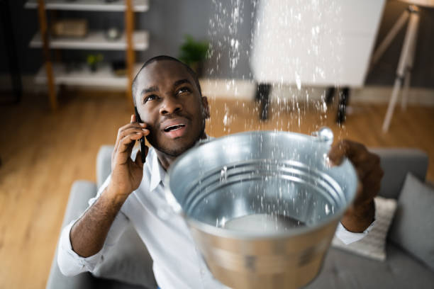 , FL Water damage restoration Company