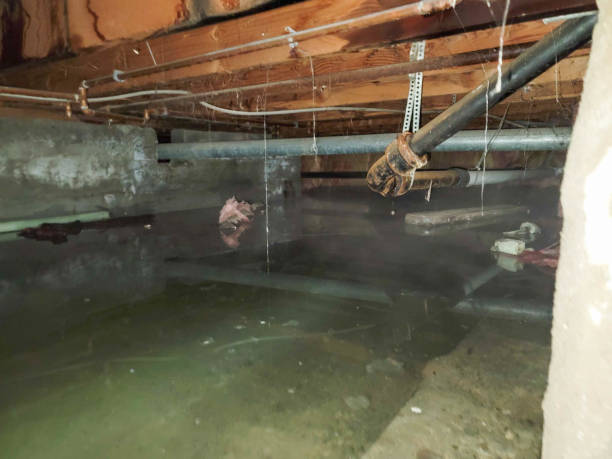 Best Flooded house restoration  in Orida Ridge, FL