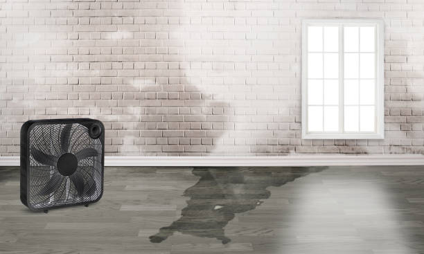 Best Flooded house restoration  in Orida Ridge, FL
